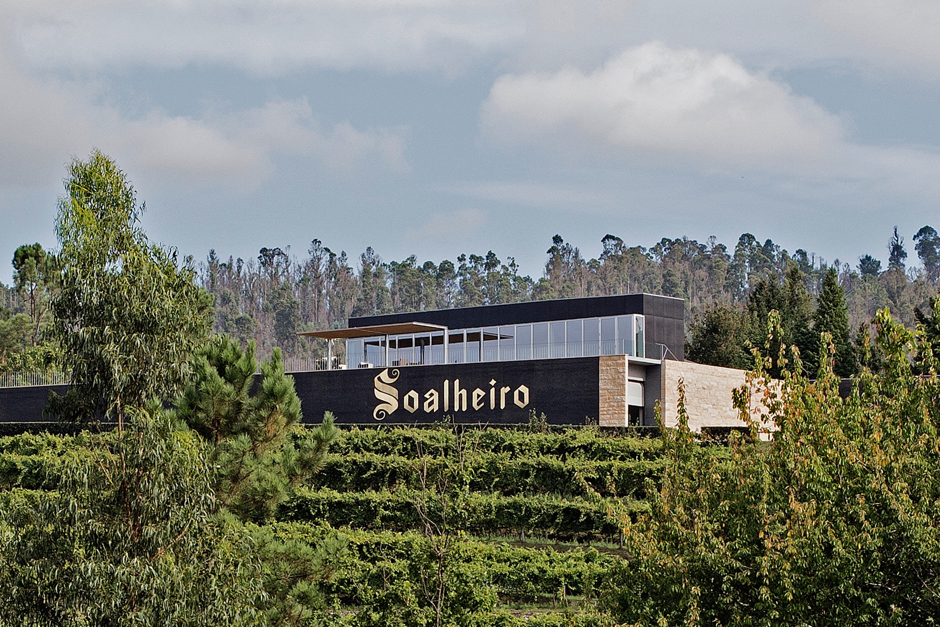 Quinta de Soalheiro