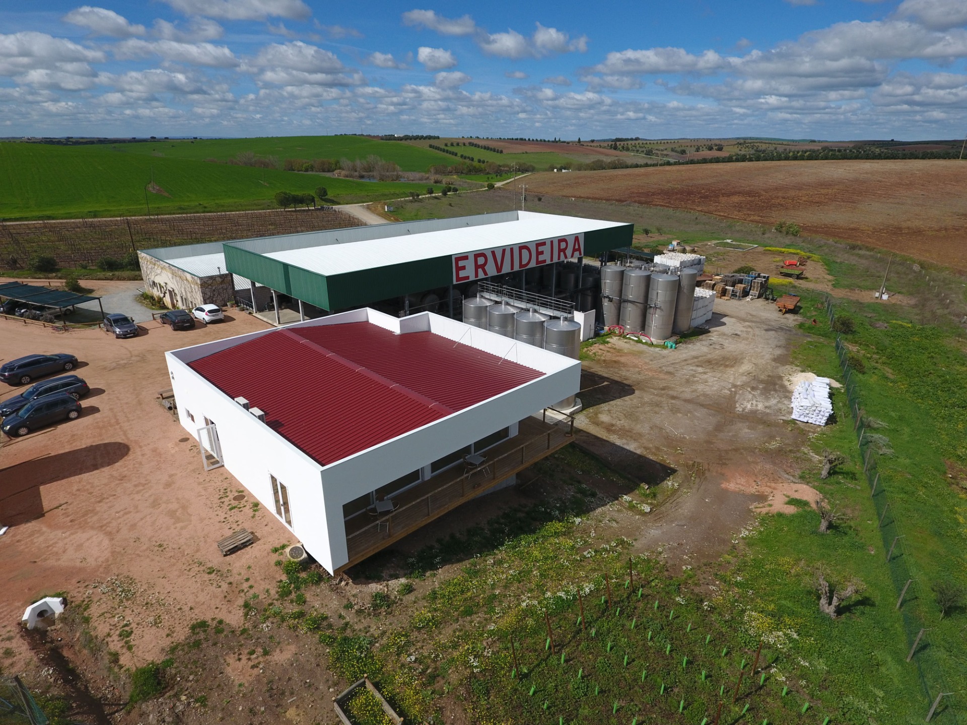 Adega Ervideira